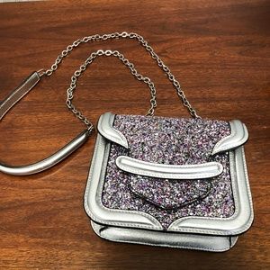 Special Occasion Alexander McQueen Sequin bag.